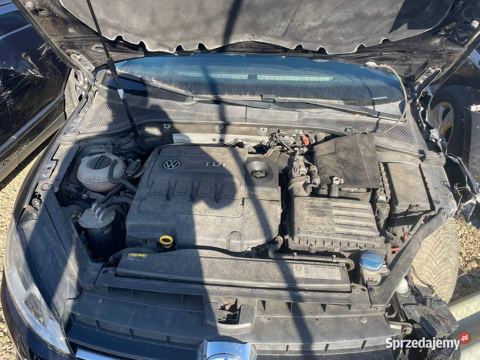 VOLKSWAGEN Golf VII 16 TDi CR BlueMotion 110 Wrocław