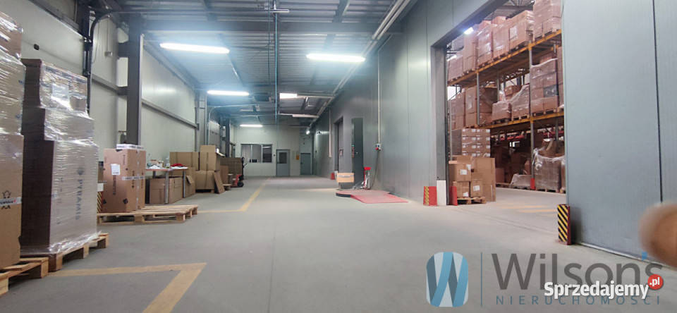 Lokal 3041m2 Czosnów