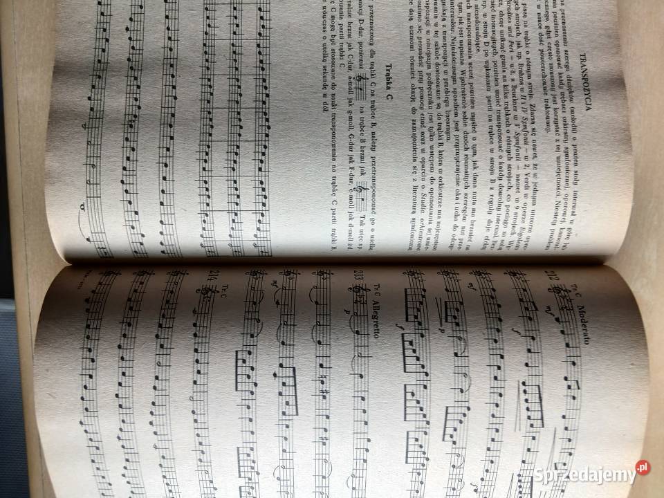 Szkoła na trąbke kornet sakshorn tenorowy część śląskie