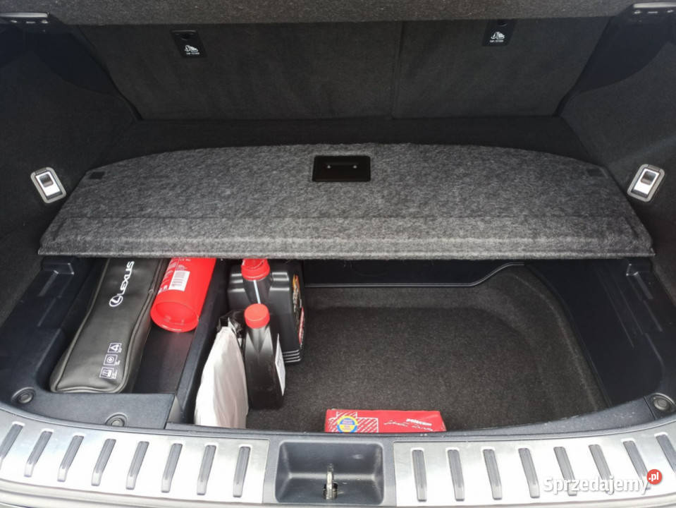 Lexus NX Salon 2 wł AWD Bogata Wer Serwis tempomat podkarpackie Rzeszów