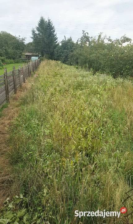 MIeszkanie na Warmii 3pok 509m2 ogród Wągniki