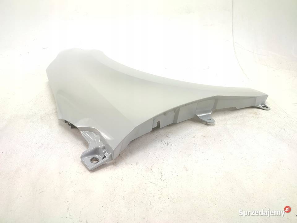 BŁOTNIK PRAWY PRZÓD CITROEN C4 I LC LA 20042011 sprzedam