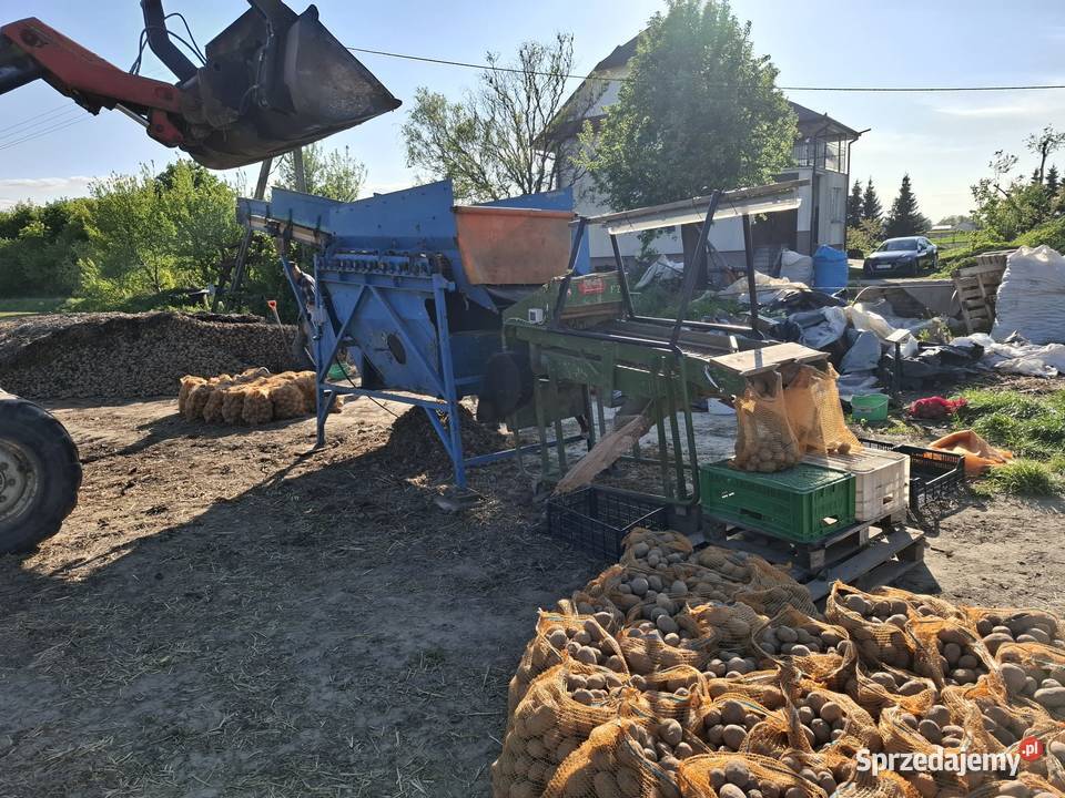 sortownik do ziemniaków czyszczarka do nieuszkodzony Sortowniki Lublin