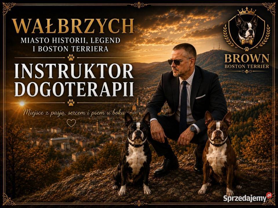 Instruktor Dogoterapii Wałbrzych