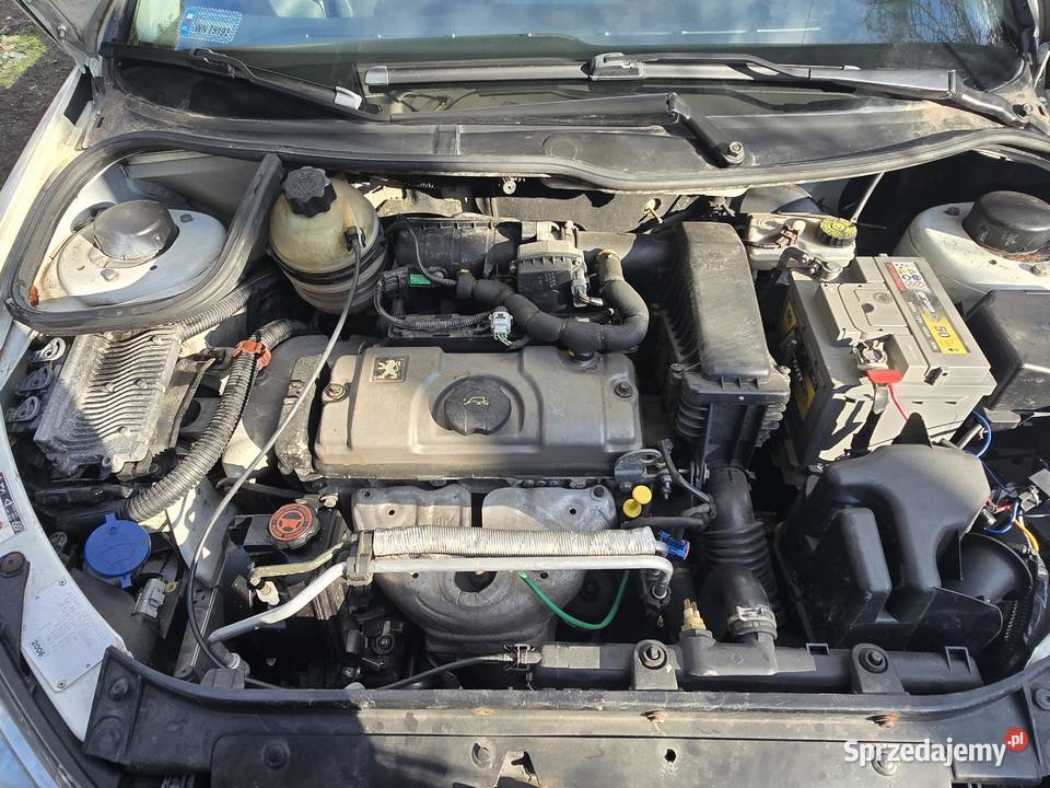 75 Sprawna Klima Peugeot 206 14 Benzyna mazowieckie Mińsk Mazowiecki sprzedam