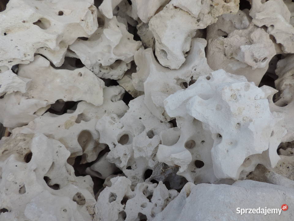 Wapień Filipiński Skała Bryła Kamień do akwarium Oświęcim