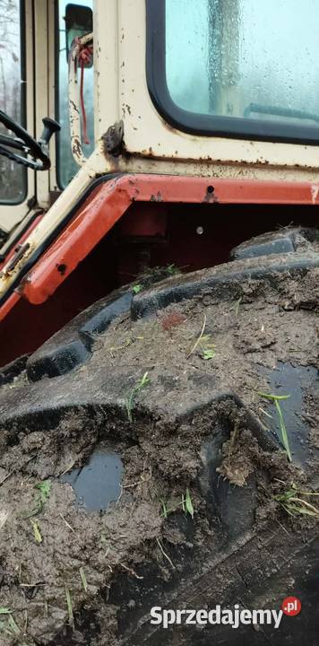 Jumz Białoruś Chełm