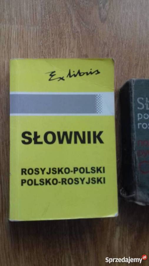 Słowniki 2 sztuki do Rosyjskiego Iława