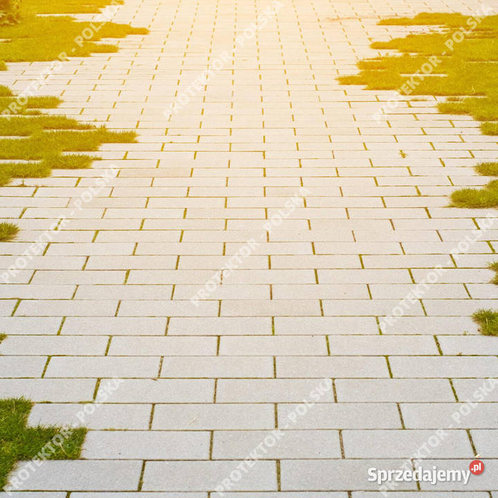 Holland 6 prostokąt domino cegiełka polbruk Łódź sprzedam