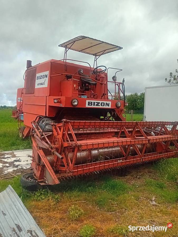 Bizon normal wersja eksportowa Zbożowe Siekierno-Podmieście