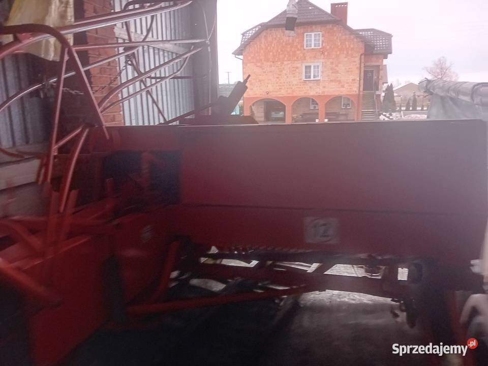 Sprzedam prase Sipme z2241 cała w orginale stan Kostkujące Łowicz