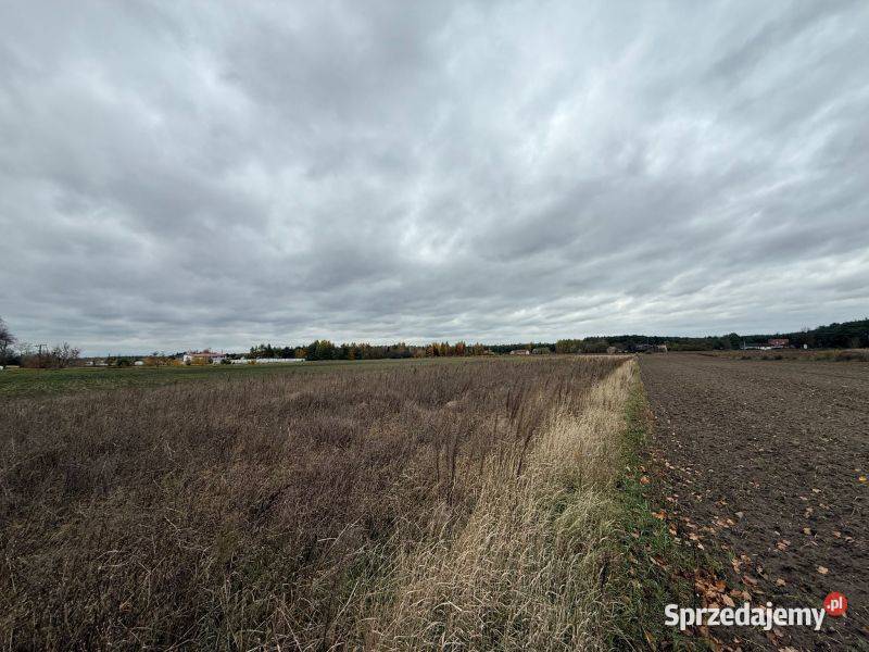 działki z doskonałą lokalizacją trasie