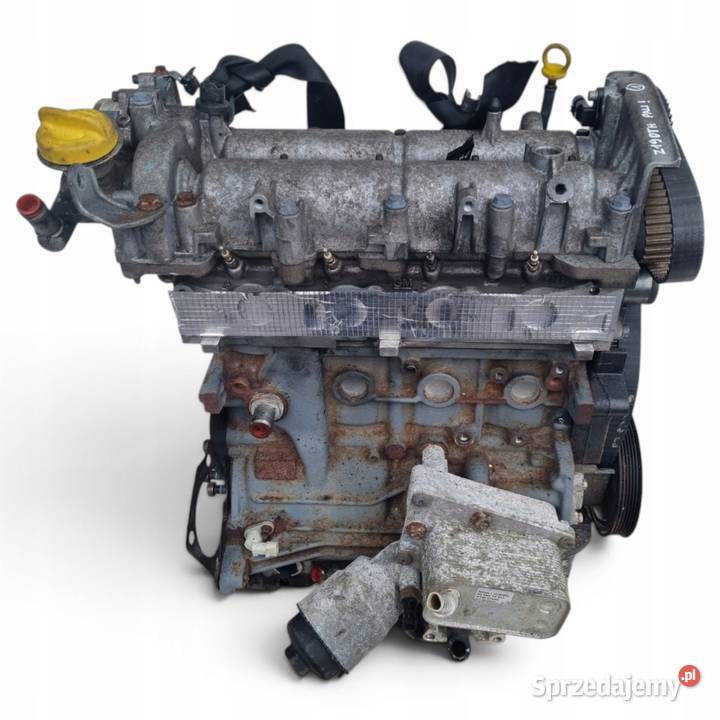 SILNIK Opel Signum 19 CDTI 16V 150 ładnie osobowe Chełm