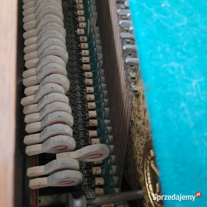 Pianino Calisia Mahoń używane