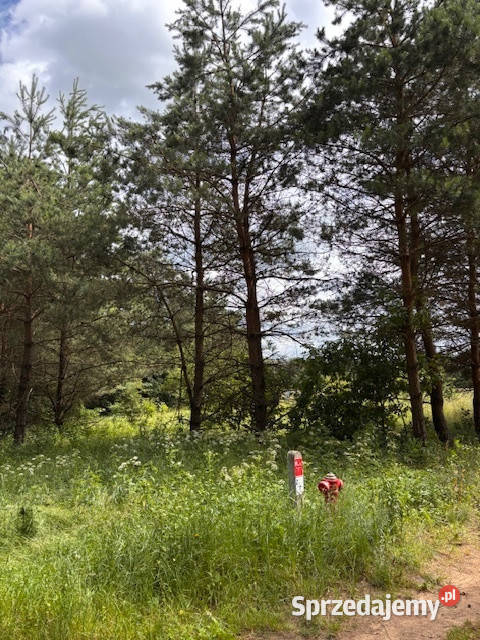 Działka pod zabudowę jednorodzinną w okolicy 3000m2 warmińsko-mazurskie Nowa Wieś Ełcka