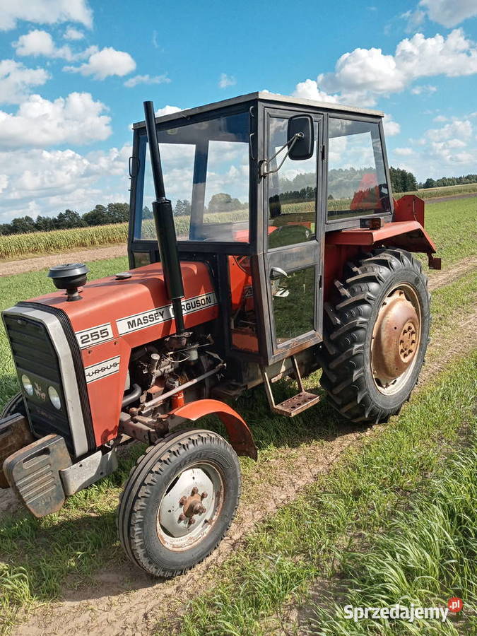 Massey Ferguson wielkopolskie Koźminek sprzedam