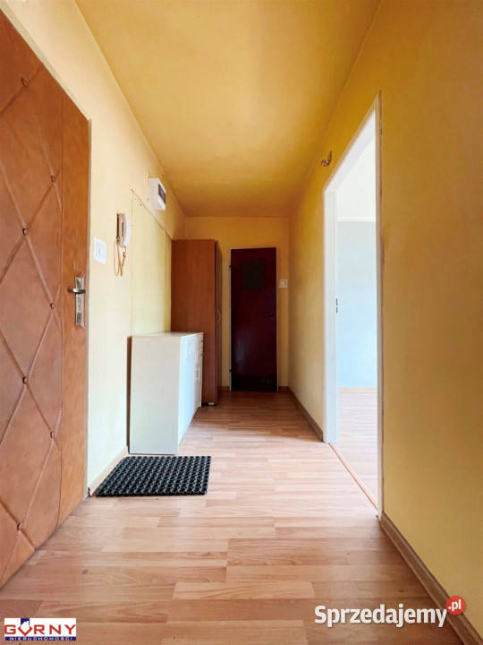 Ogłoszenie mieszkanie 323m2 2pokojowe Piotrków Piotrków Trybunalski