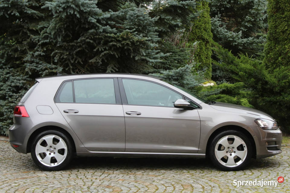 Volkswagen Golf TDI 150 DSG 188 VII 2012 Lubań