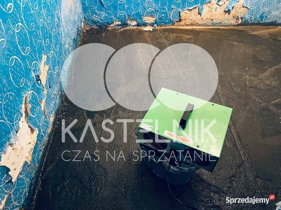 Odgrzybianie ścian Bukowno Kastelnik Usuwanie małopolskie