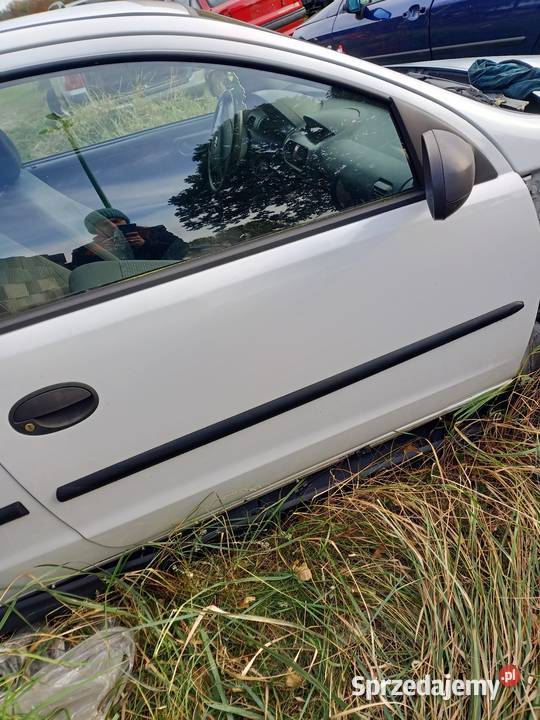 Drzwi prawe przód przednie opel corsa c 3 części blacharskie Szczecin