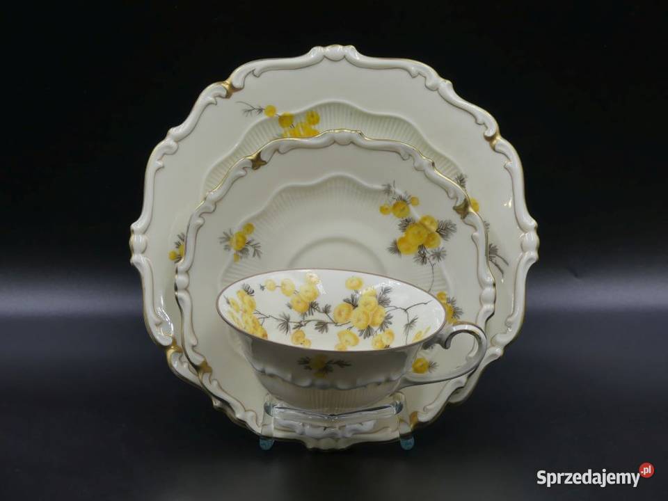 Komplet śniadaniowy Sorau Żary żółte Mimozy Poznań