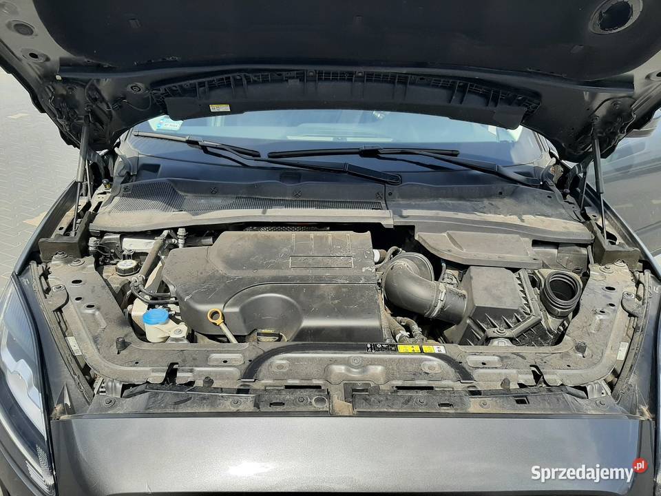 Syndyk sprzeda JAGUAR EPace 20 MR17 E6 WT5650A Pozostałe Warszawa