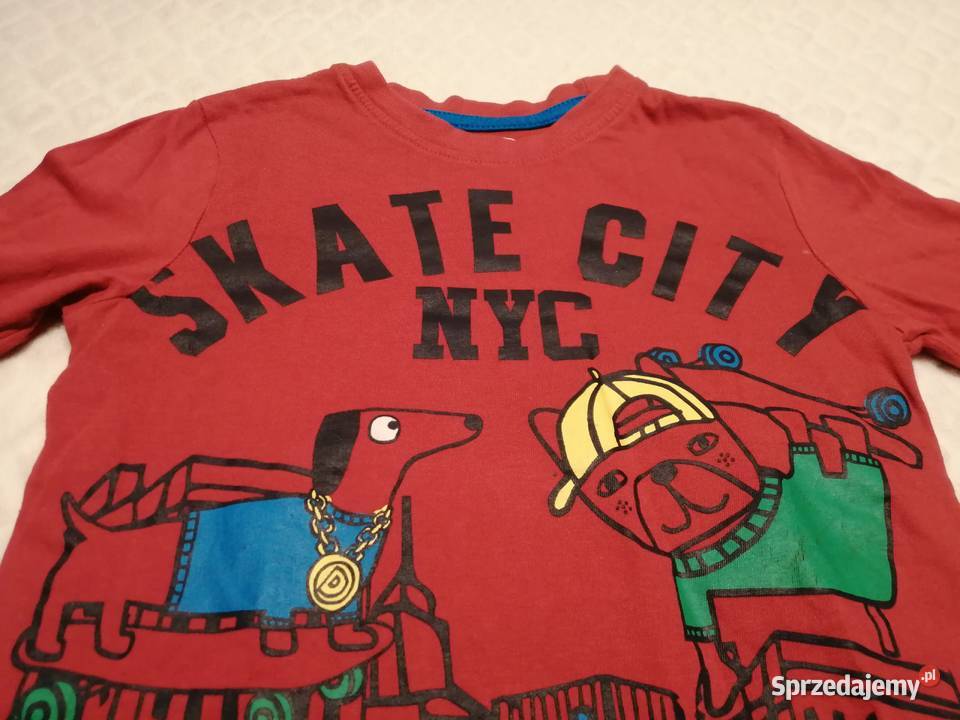 Koszulka chłopięca długi rękaw 104 Skate Pieski śląskie Czeladź sprzedam