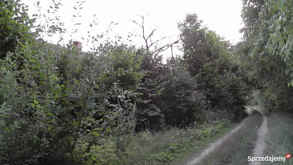 Działka w Chylinie Wielkim Grunty i działki Chylin Wielki sprzedam