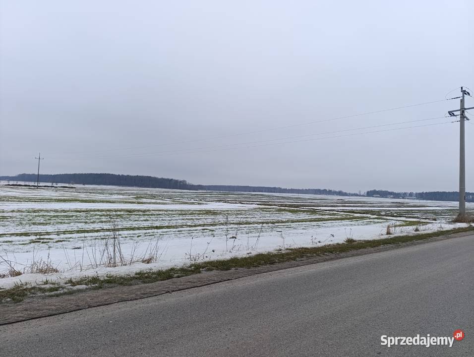 Działka rolnobudowlana BorkiKosiorki Borki-Kosiorki