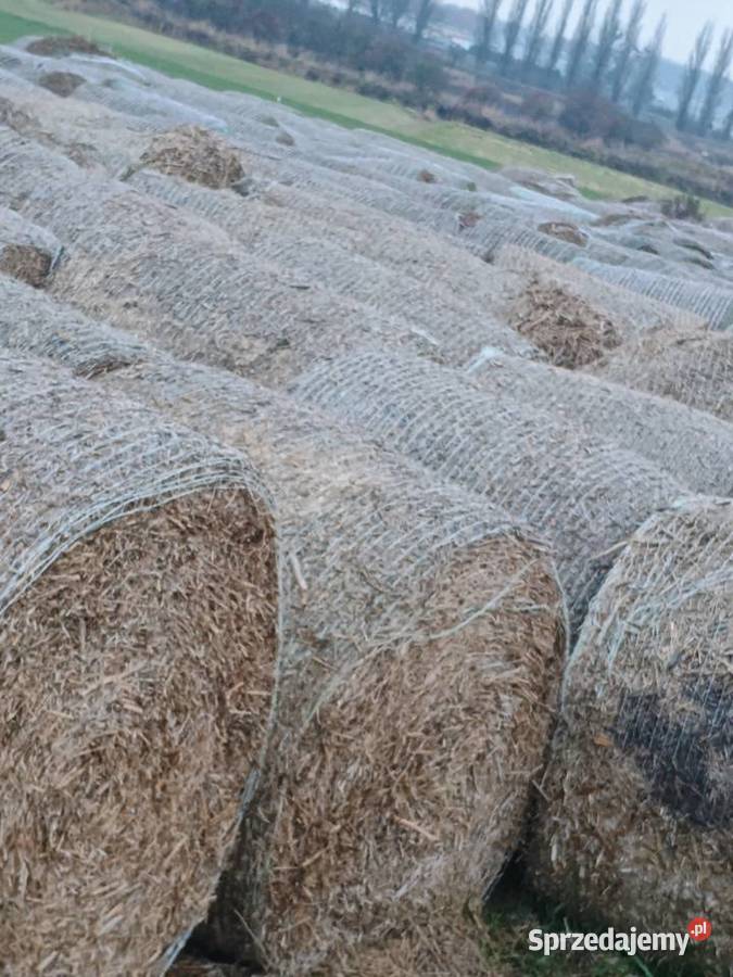 Słoma na sprzedaż kujawsko-pomorskie Pakość