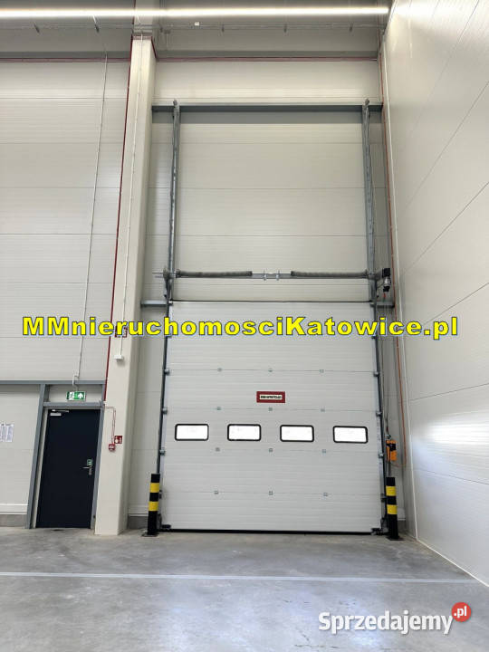 Nowe magazyny do wynajęcia do Śląsk A4 i S1 10600m2
