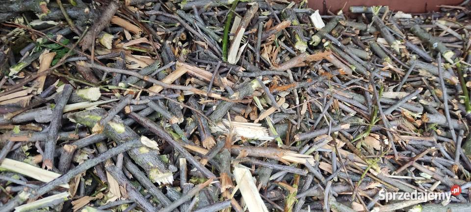 Zrębki akacjowośliwkowe sprzedam