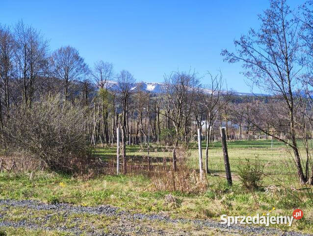 Sprzedam działka Piechowice 1300m2 sprzedam