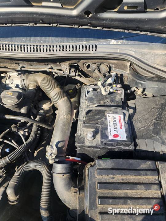 Seat Leon na części Chmiel-Kolonia