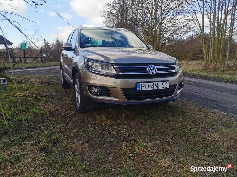 Vw Tiguan wielkopolskie Poznań