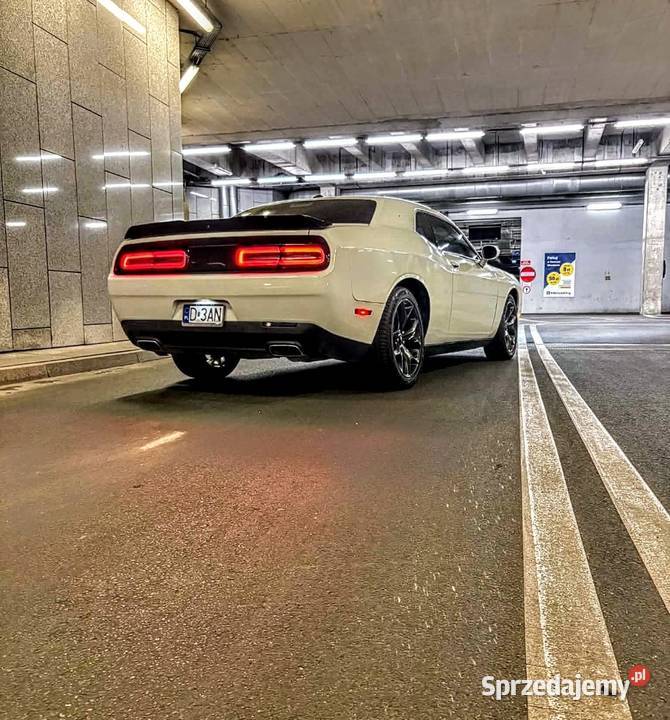 Dodge Challenger SXT 36 V6 2020 305 dolnośląskie