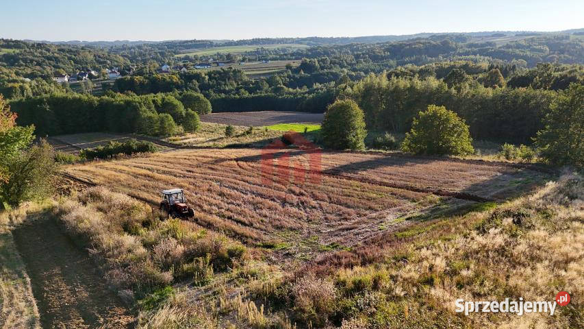 Ogłoszenie działka Granice 1700m2 podkarpackie sprzedam