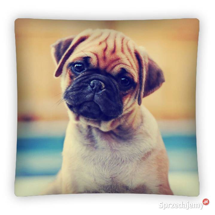 Poszewki na poduszki 4040 Warszawa sprzedam