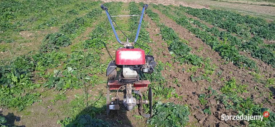 Traktorek glebogryzarka robix robi 55 z Tarnawa Mała