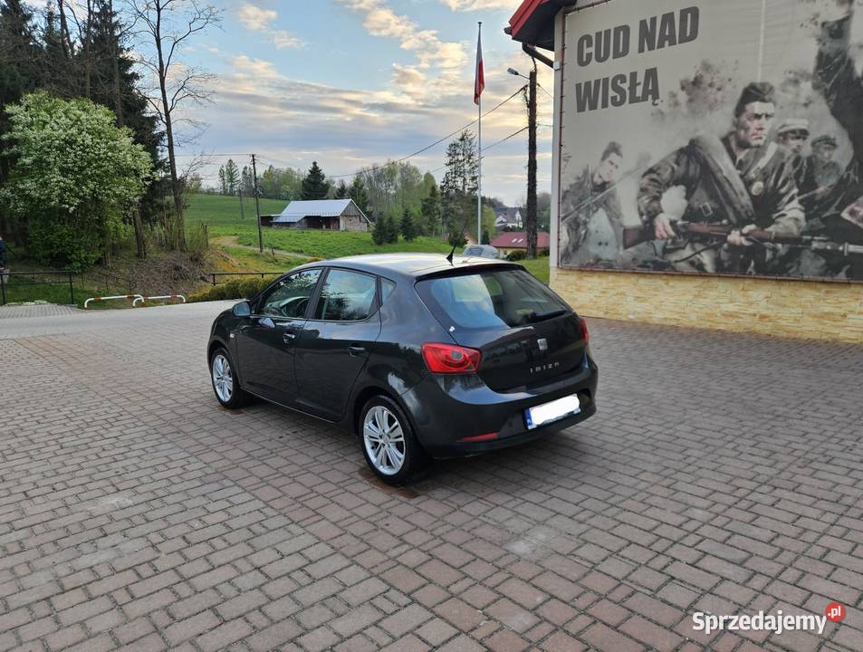 Seat Ibiza 2009r 14LPG Klimatronik Alufelgi Stan Ryglice