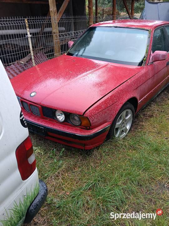 BMW e34 USZCZELKA DRZWI PRZEDNICH Jastrzębia Góra