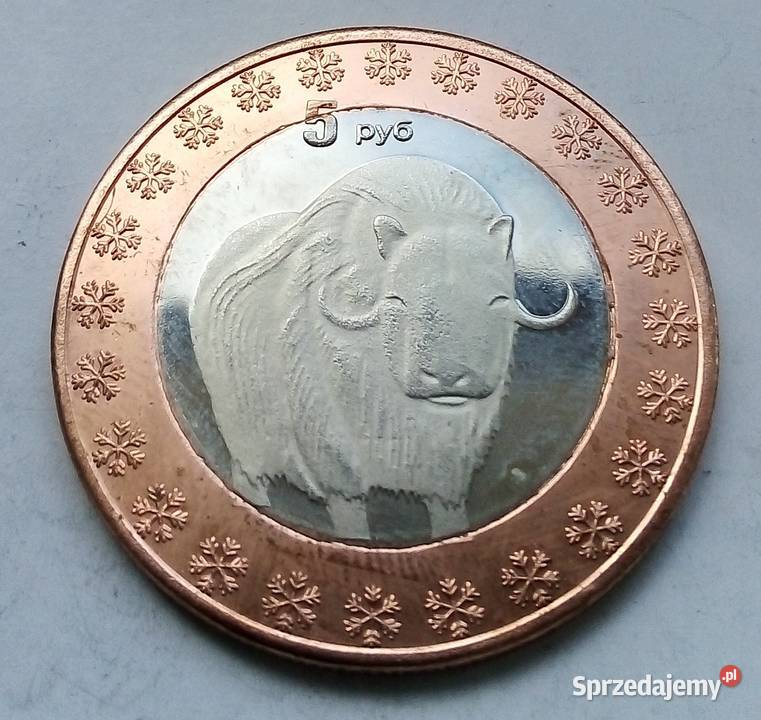 NORTH POLE BIEGUN POLNOCNY5 RUBLI2014 r Numizmatyka Legionowo sprzedam