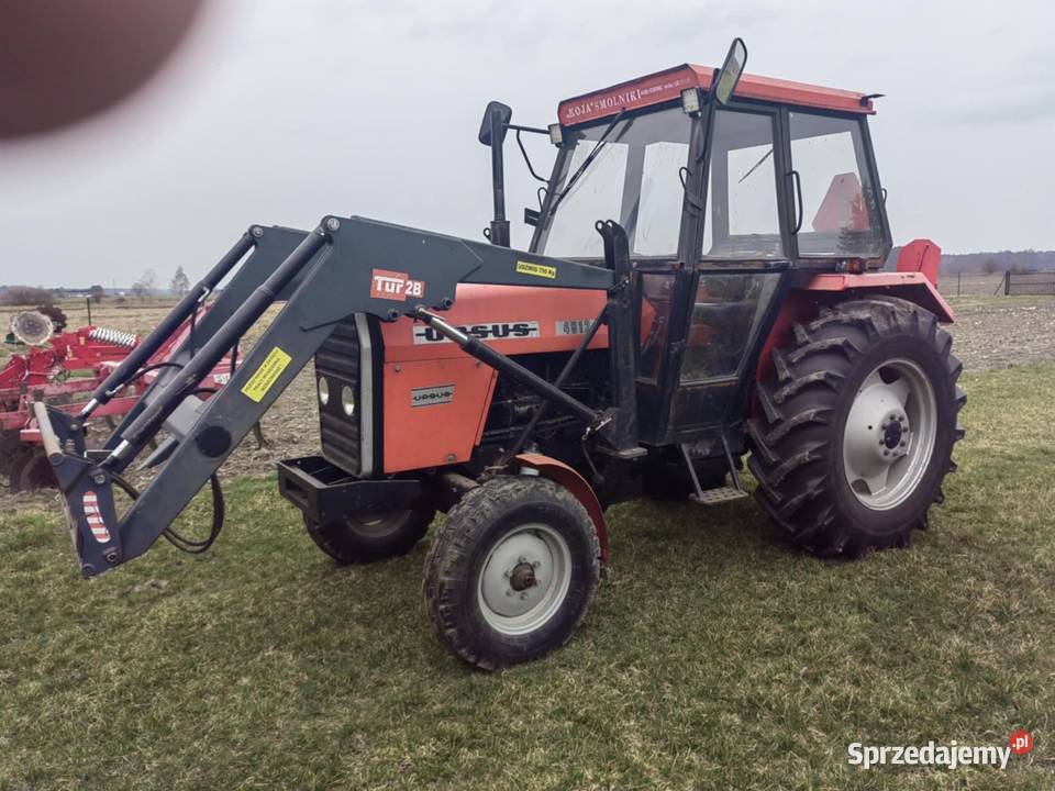 Tur ursus 4512 Tur Bokinka Pańska
