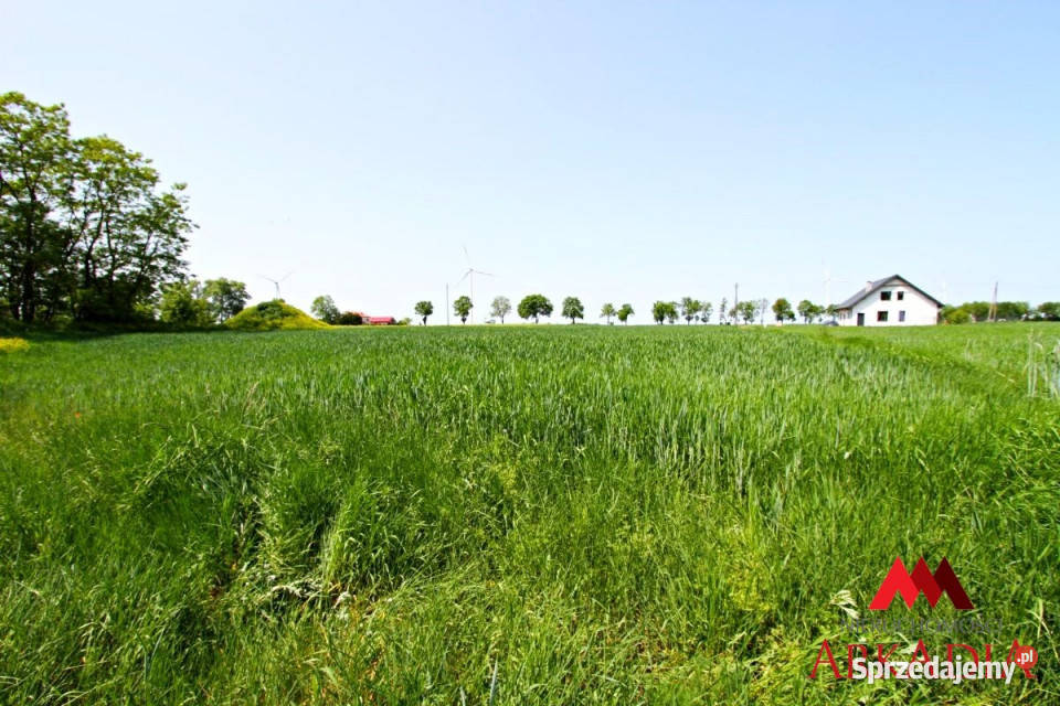 Działka 3012m2 Dobrzyń Wisłą kujawsko-pomorskie Dobrzyń nad Wisłą sprzedam