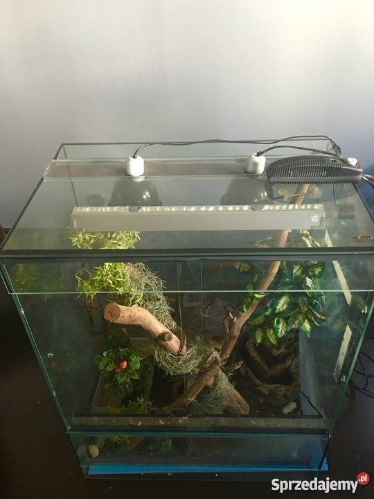 Terrarium duże wyposażenie kameleon gekon mazowieckie