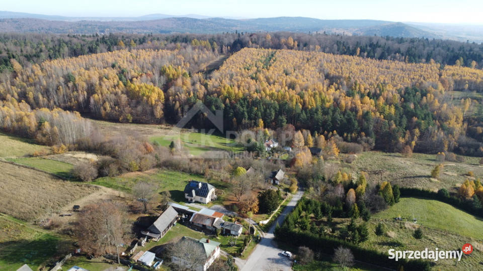 Działka inwestycyjna Cisów 22 500 m