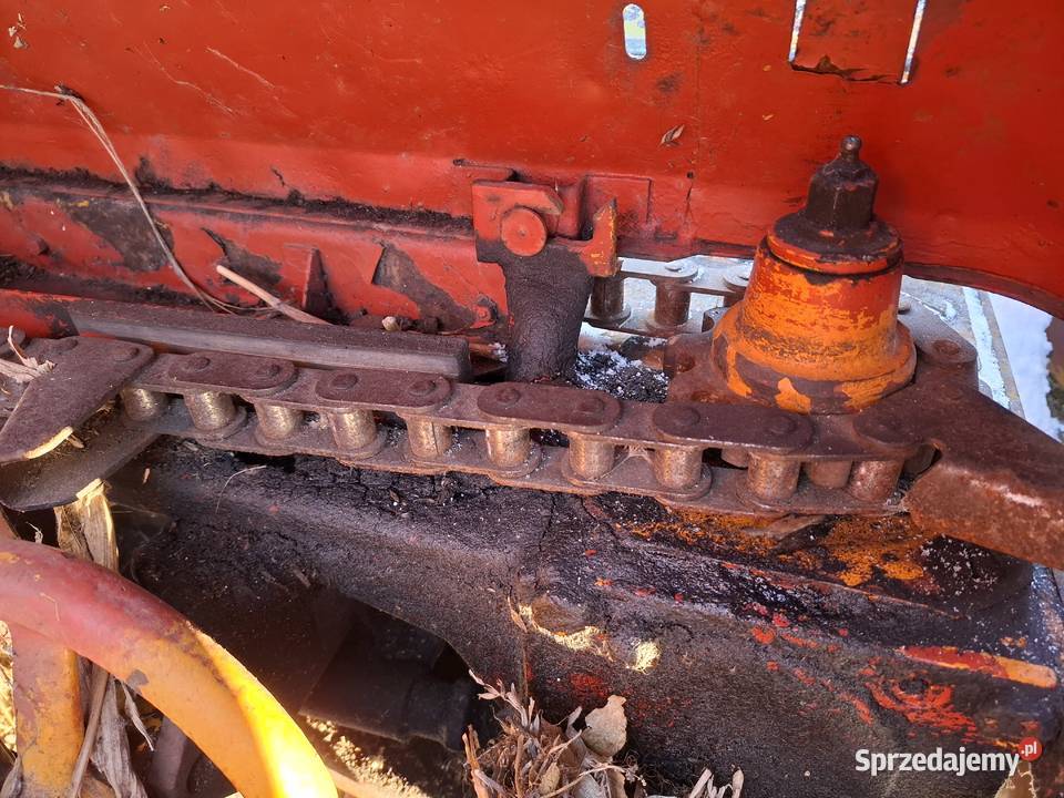 Przystawka do kukurydzy Oros bizon lubelskie