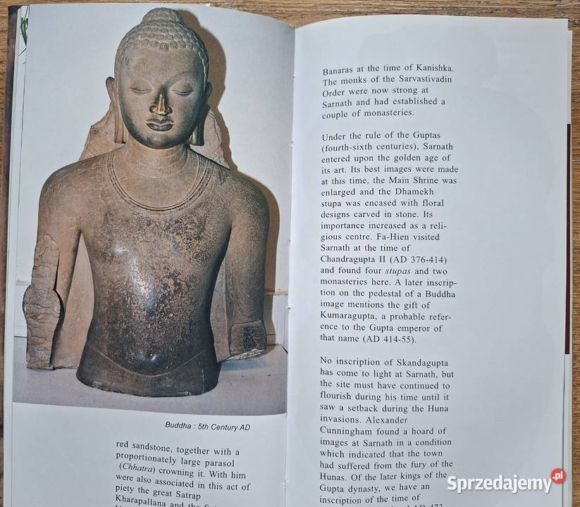 Sarnatha Archaeological Survey of India przewodnik małopolskie