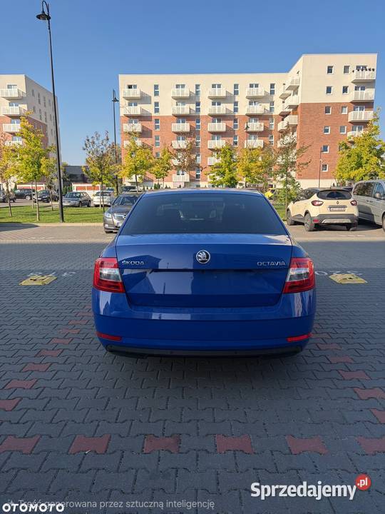 Salon polska 1 właściciel 69