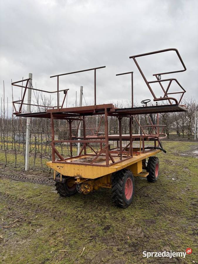 Platforma sadownicza Ludwików